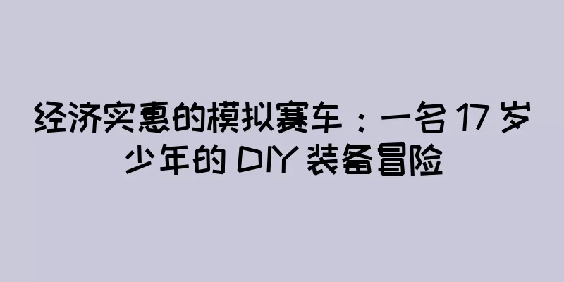 经济实惠的模拟赛车：一名 17 岁少年的 DIY 装备冒险