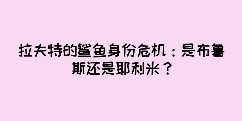 拉夫特的鲨鱼身份危机：是布鲁斯还是耶利米？