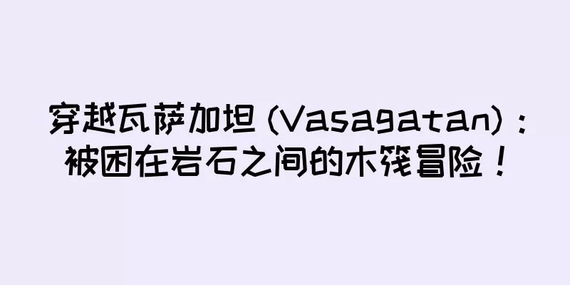 穿越瓦萨加坦 (Vasagatan)：被困在岩石之间的木筏冒险！