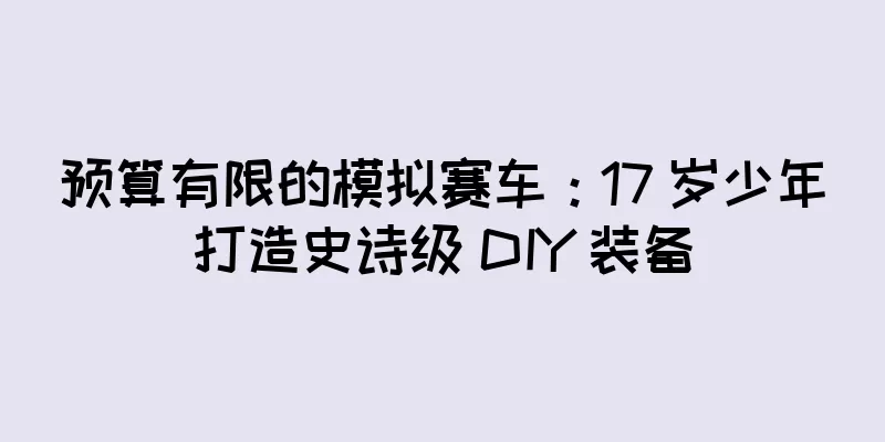 预算有限的模拟赛车：17 岁少年打造史诗级 DIY 装备
