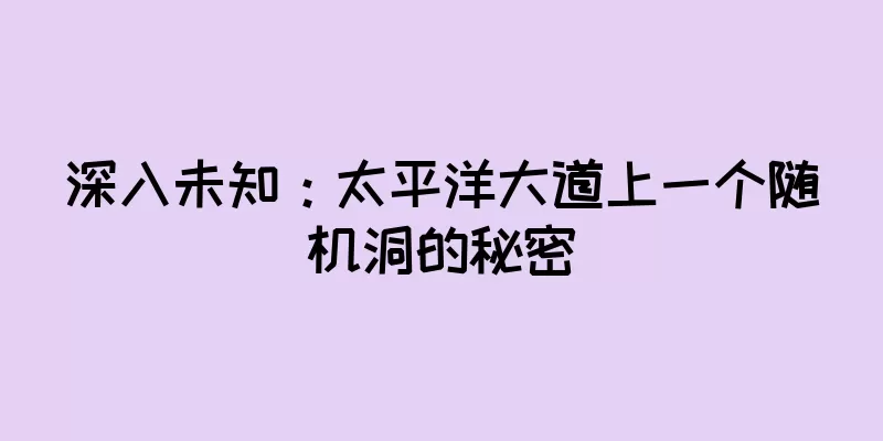 深入未知：太平洋大道上一个随机洞的秘密