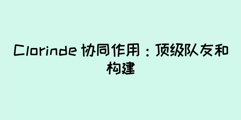Clorinde 协同作用：顶级队友和构建