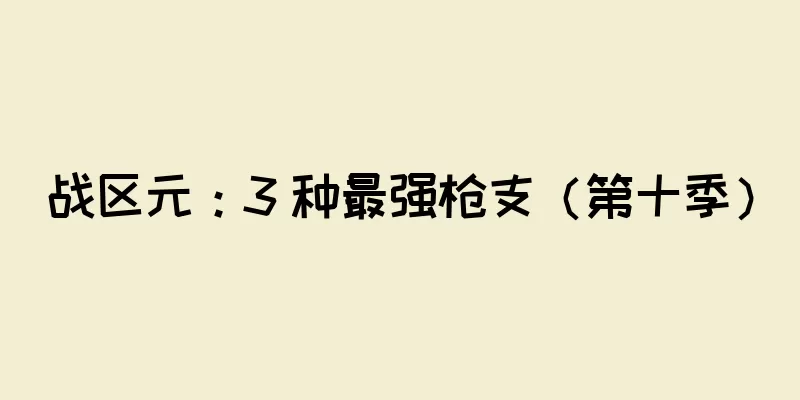 战区元：3 种最强枪支（第十季）