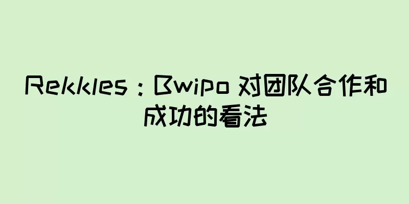 Rekkles：Bwipo 对团队合作和成功的看法